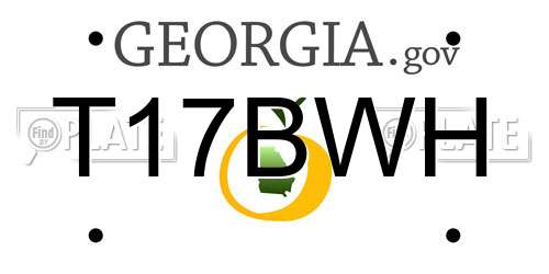 T17BWH Georgia License Plate
