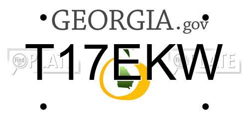 T17EKW Georgia License Plate