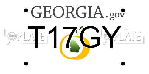 T17GY Georgia License Plate