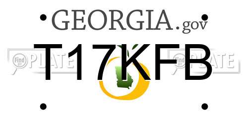 T17KFB Georgia License Plate