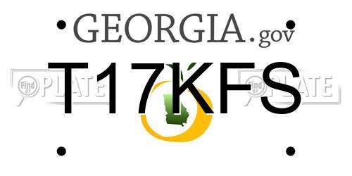 T17KFS Georgia License Plate