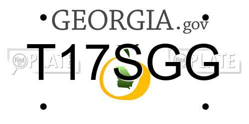 T17SGG Georgia License Plate