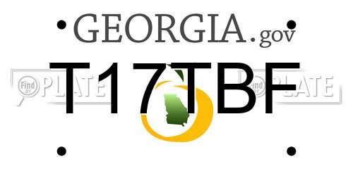T17TBF Georgia License Plate