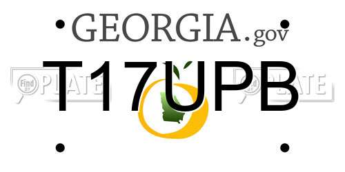 T17UPB Georgia License Plate