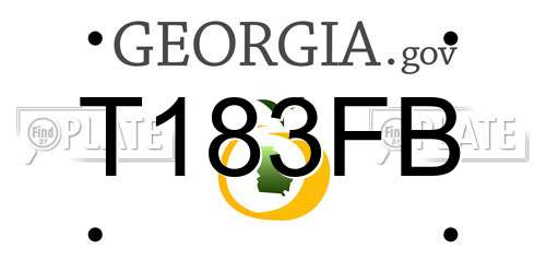 T183FB Georgia License Plate