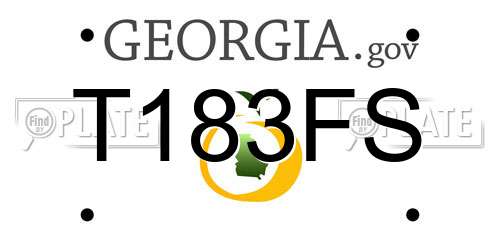 T183FS Georgia License Plate