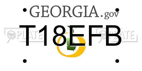 T18EFB Georgia License Plate