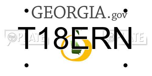T18ERN Georgia License Plate