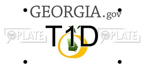 T1D Georgia License Plate
