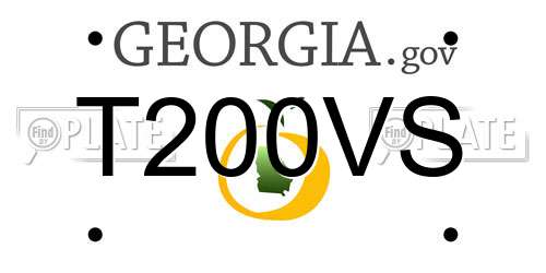 T200VS Georgia License Plate