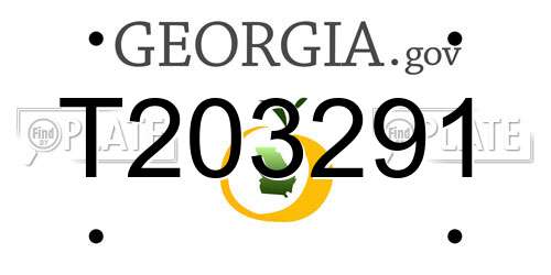 T203291 Georgia License Plate