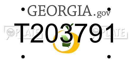 T203791 Georgia License Plate