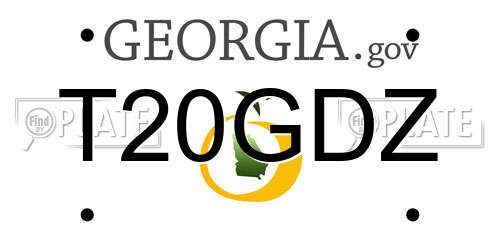 T20GDZ Georgia License Plate