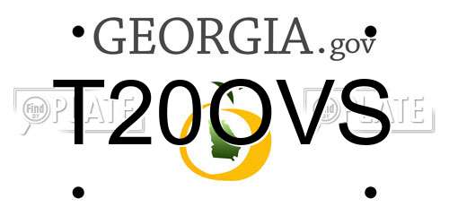 T20OVS Georgia License Plate