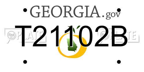T21102B Georgia License Plate