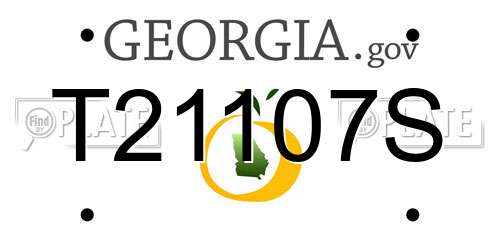 T21107S Georgia License Plate