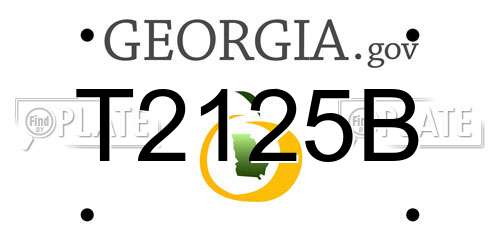 T2125B Georgia License Plate