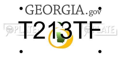 T213TF Georgia License Plate