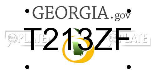T213ZF Georgia License Plate