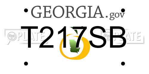 T217SB Georgia License Plate