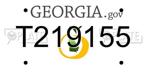T219155 Georgia License Plate
