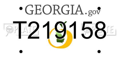 T219158 Georgia License Plate