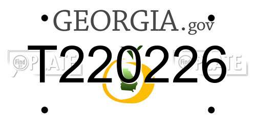 T220226 Georgia License Plate