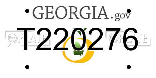 T220276 Georgia License Plate