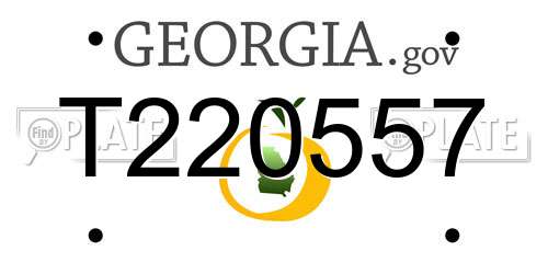 T220557 Georgia License Plate