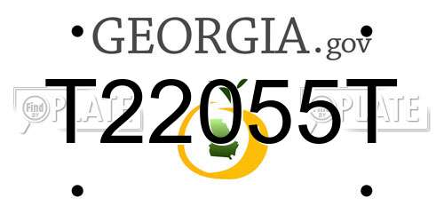 T22055T Georgia License Plate