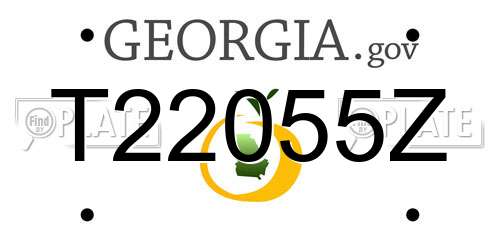 T22055Z Georgia License Plate