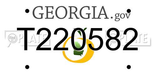 T220582 Georgia License Plate