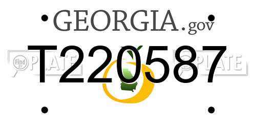T220587 Georgia License Plate