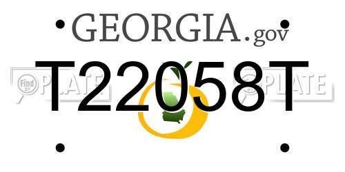 T22058T Georgia License Plate