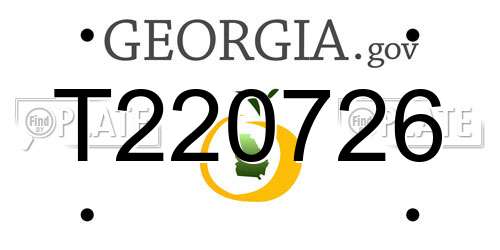 T220726 Georgia License Plate