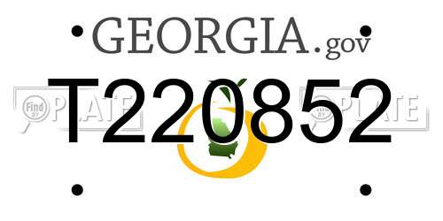T220852 Georgia License Plate