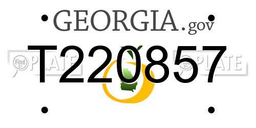 T220857 Georgia License Plate