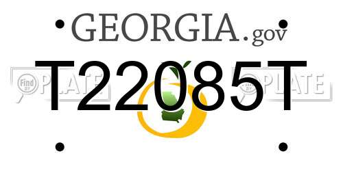 T22085T Georgia License Plate