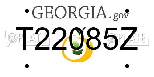 T22085Z Georgia License Plate
