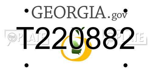 T220882 Georgia License Plate