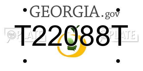 T22088T Georgia License Plate