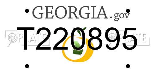 T220895 Georgia License Plate