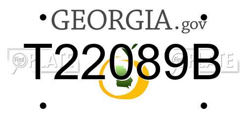 T22089B Georgia License Plate