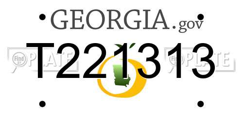 T221313 Georgia License Plate