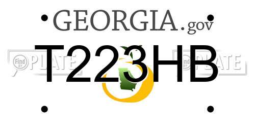 T223HB Georgia License Plate