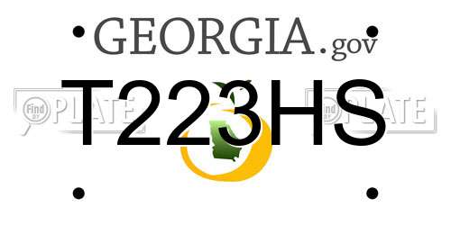 T223HS Georgia License Plate