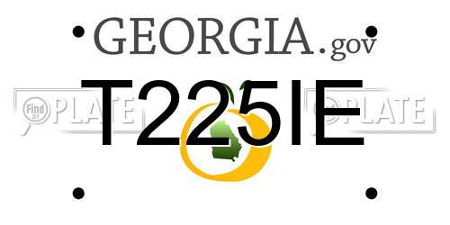 T225IE Georgia License Plate