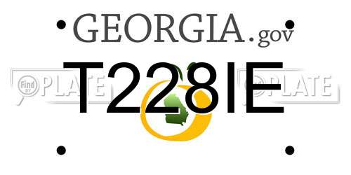 T228IE Georgia License Plate