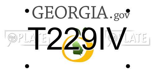 T229IV Georgia License Plate