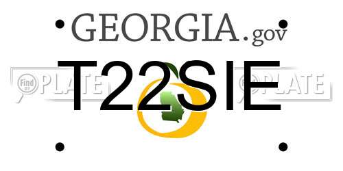 T22SIE Georgia License Plate